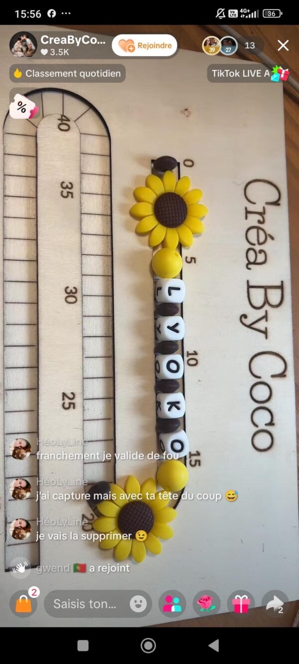 Duo colliers chien + porte clé - Héolyne