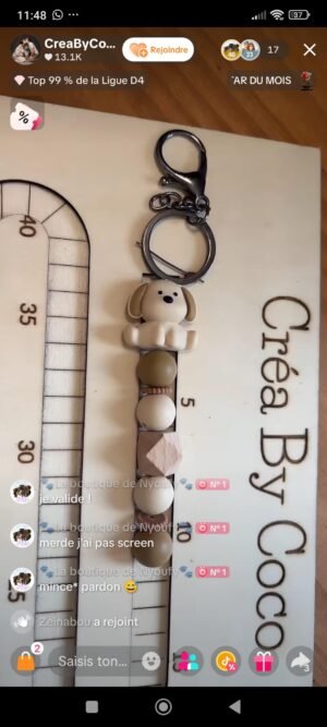 Duo colliers chien + porte clé - Héolyne