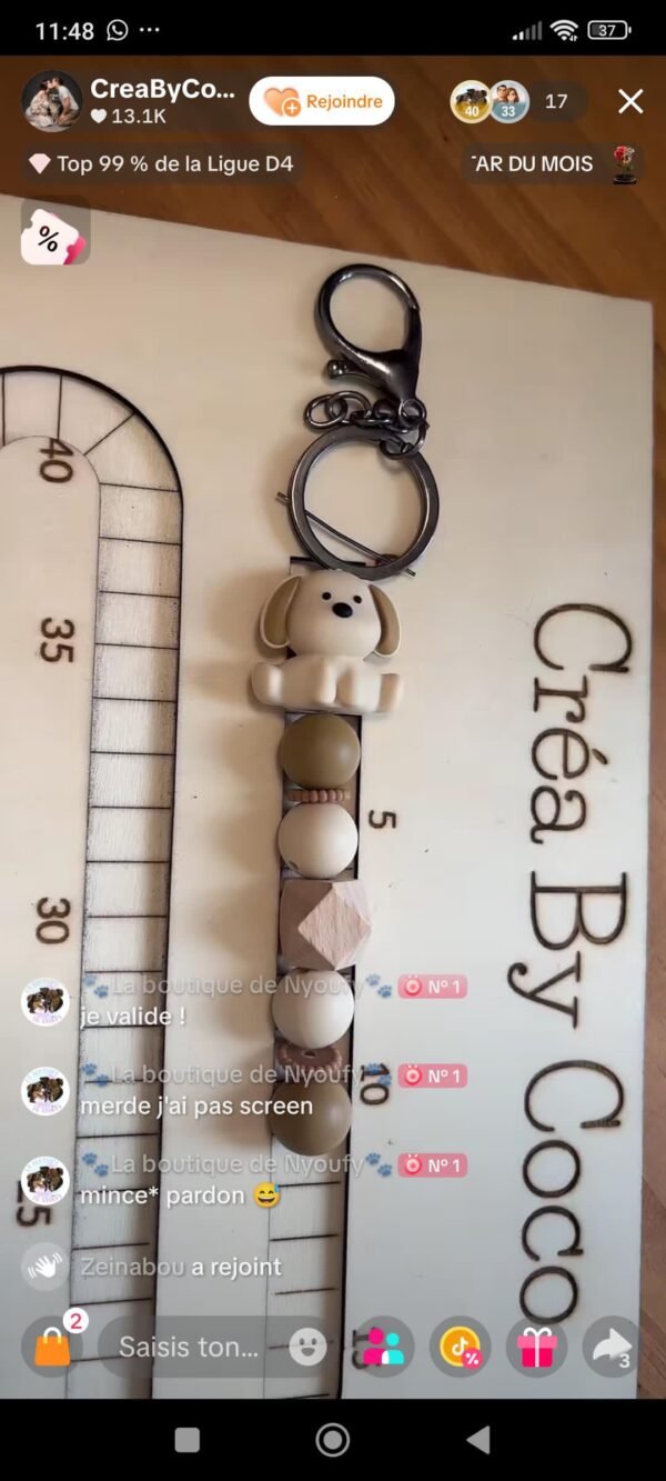 Duo colliers chien + porte clé - Héolyne