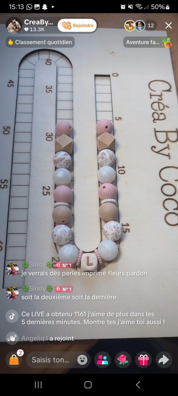 Coffret attaches + anneau + collier de lien - Sindy (MAM EN PLUS À PART)