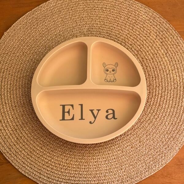 Assiette compartimentée